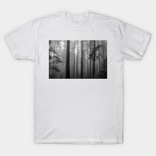 Spooky Mountainside Forest T-Shirt